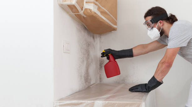 Professional Bathroom Mold Removal technician working in Laurel, FL