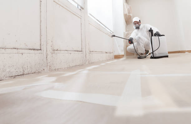 24/7 Emergency Bathroom Mold Removal experts in Laurel, FL